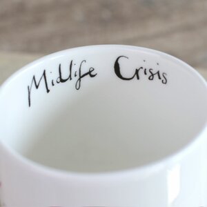 Midlife Crisis Bird Mug by Anna Wright