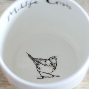 Midlife Crisis Bird Mug by Anna Wright