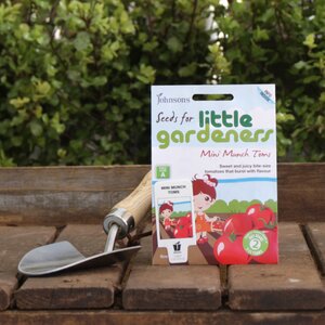 Little Gardeners Mini Munch Tomatoes