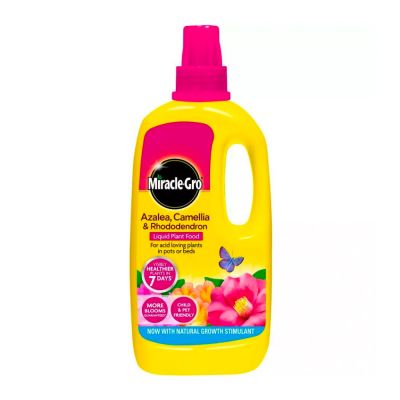 Miracle-Gro® Azalea, Camellia & Rhododendron Contentrated Liquid Plant Food - 1ltr