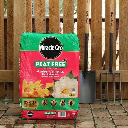 Miracle-Gro® Peat Free Premium Azalea, Camellia & Rhododendron Ericaceous Compost - 40 Litre