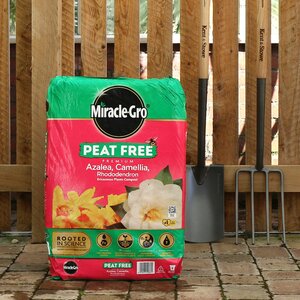 Miracle-Gro® Peat Free Premium Azalea, Camellia & Rhododendron Ericaceous Compost - 40 Litre