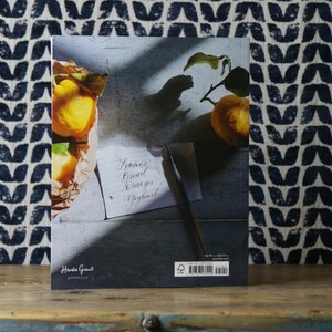 Modern Calligraphy: The Workbook by Imogen Owen