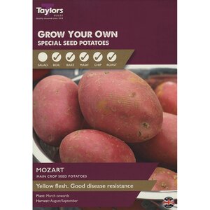 Mozart Main Crop Seed Potatoes (pack of 10 Tubers)