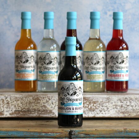 Mr Fitzpatrick's No Added Sugar Dandelion & Burdock Cordial