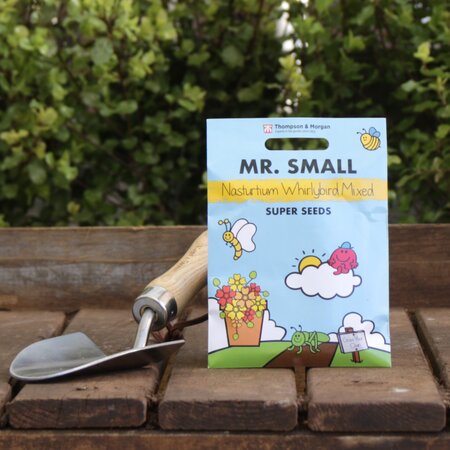 Nasturtium 'Whirlybird' Seeds by Mr. Men™ Little Miss™ & Mr Small