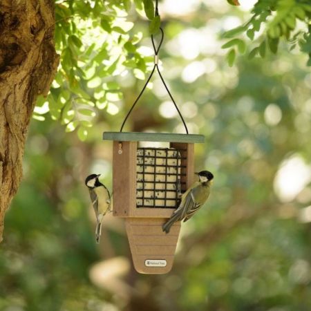 National Trust Monte Rosa Recycled Peanut Cake Feeder