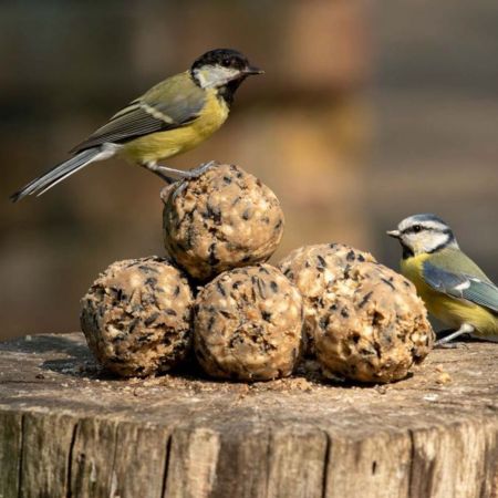 National Trust Ultimate Fat Balls - 6 Pack