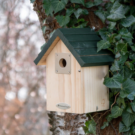 National Trust Vail Larch 32mm Nest Box