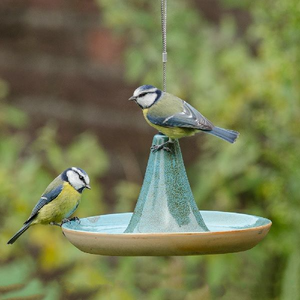 National Trust Vierno Tajine Water Dish