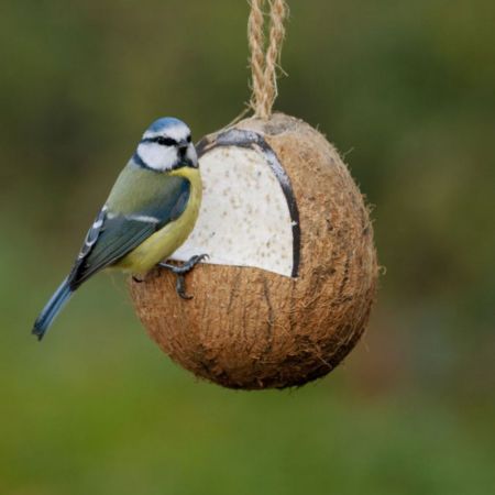 National Trust Whole Filled Coconut