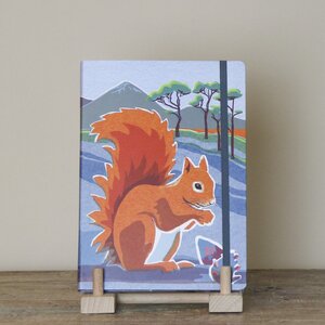 Nature Notebook: Red Squirrel