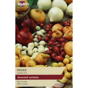 Shop Onion - Mixed Sets (pack of 50 sets)