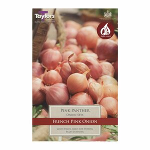 Onion - Pink Panther (Pack of 50 Sets)