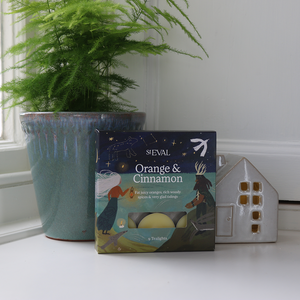 Orange & Cinnamon St. Eval Scented Christmas Tealights (9 per pack)