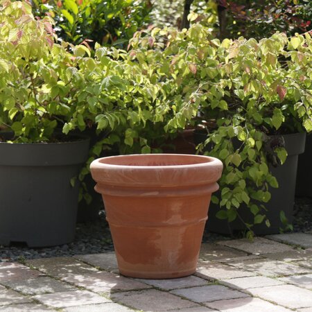 Oreya Tuscan Classic 30cm Pot