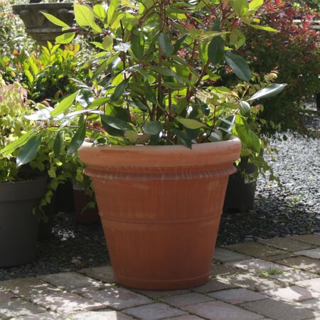 Oreya Tuscan Classic 45cm Pot