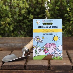 Ox Eye Daisy Seeds by Mr. Men™ Little Miss™ & Little Miss Hug