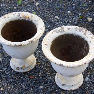 Pair of French Small White Urns