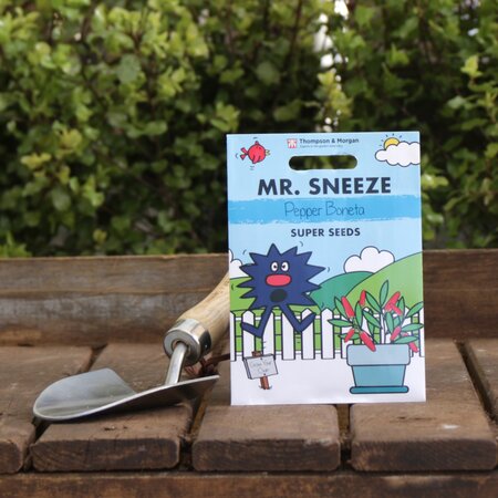 Pepper 'Boneta' Seeds by Mr. Men™ Little Miss™ & Mr Sneeze