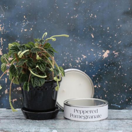 Peppered Pomegranate Three Wick Candle