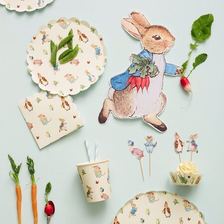 Peter Rabbit Party Plates (12 Plates)