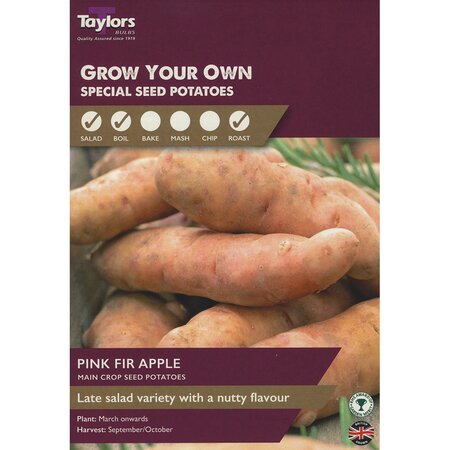 Pink Fir Apple Maincrop Seed Potatoes (Pack of 10 Tubers)