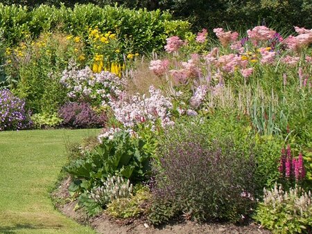 Planning & Designing Beds & Borders – Making The Most of Your Garden in Spring - Tuesday 10th March 2026