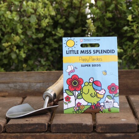 Poppy Flanders Seeds by Mr. Men™ Little Miss™ & Little Miss Splendid