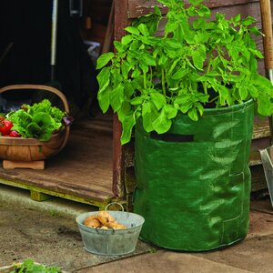 Potato Planter Bags (Pack of 2)