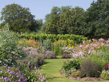 Practical Gardening: Assessing, Renovating and Replanting Beds and Borders - Tuesday 13th April 2027