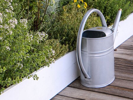 Practical Gardening: Essential Garden Jobs for Late Spring and Early Summer - Tuesday 20th April 2027