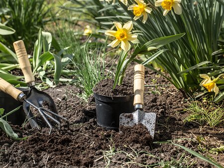 Practical Gardening: Essential Jobs for Late Winter and Early Spring - Friday 26th February 2027