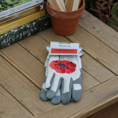 RHS Collection Gold Leaf Chelsea Gloves