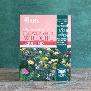 RHS Flowers for Wildlife Bright Mix