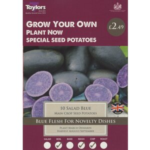 Salad Blue Maincrop Seed Potatoes (Pack of 10 Tubers)