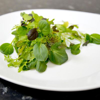 Salad Leaves Seeds - Oriental Wonders Mix