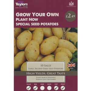Sally Early Second Crop Seed Potatoes (pack of 10 Tubers)