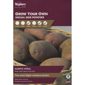 Sarpo Mira Maincrop Seed Potatoes (Pack of 8 Tubers)