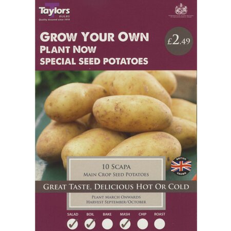 Scapa First Early Crop Seed Potatoes (pack of 10 Tubers)