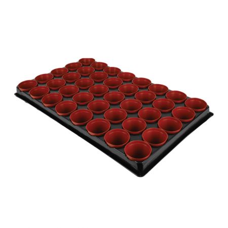 Seed & Cutting Tray with 40 Pots