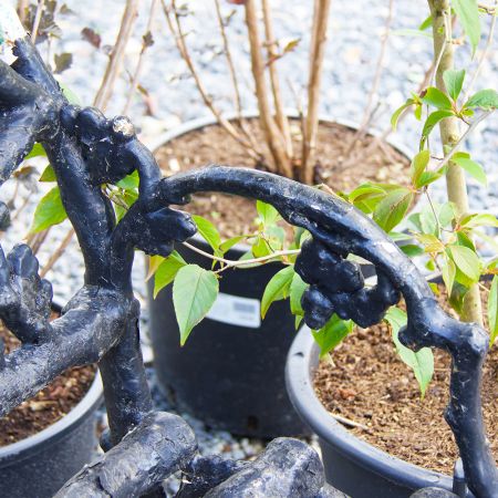 Serpent and Twig Black Cast Iron Bench