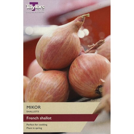 Shallot - French Mikor (Pack of 10 Sets)