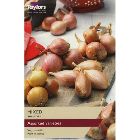 Shallots - Mixed Sets (pack of 12 sets)