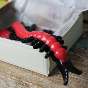 Slimy creepy crawlies in a box