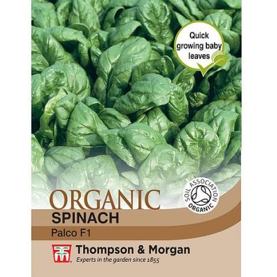 Spinach Seeds - Organic F1 Palco