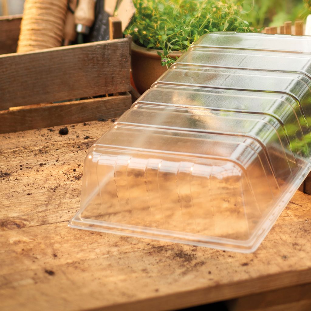 Standard Seed Tray Lid Beetham Nurseries