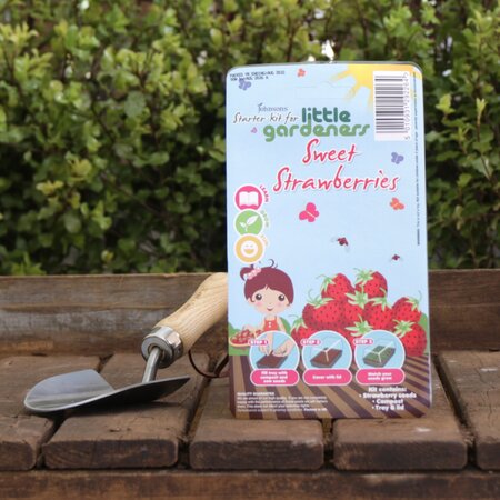 Sweet Strawberries Starter Kit by Little Gardeners