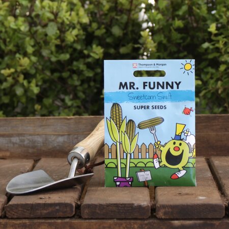 Sweetcorn 'Swift' Seeds by Mr. Men™ Little Miss™ & Mr Funny