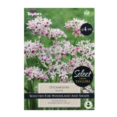 Taylors Allium Cameleon Bulbs (15 per Pack)